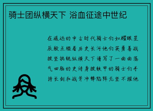 骑士团纵横天下 浴血征途中世纪